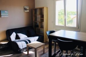 Appartements Residences du Palmier : Studio