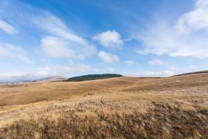 Zlatibor Hills Zozon