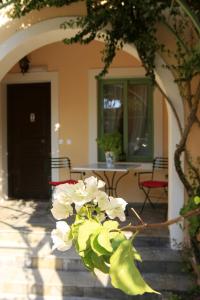 Isabella Country House Corfu Greece