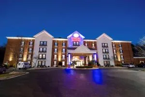 Comfort Suites Newport News Airport - Broad Marsh