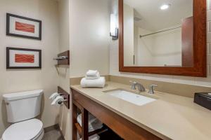 King Suite with Sofa Bed room in Comfort Inn & Suites Pittsburgh