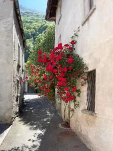 Do-Minus Boutique Home & Private SPA Cà Spontoi - Gorduno