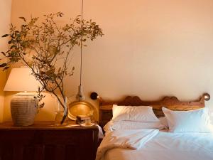 Deluxe Junior Suite room in OAR Cottage
