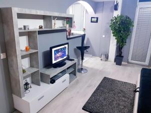 Savić Apartment CENTER - PARKING FREE