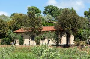 Le Pettegole del Boschetto