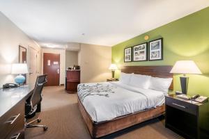 King Room - Non-Smoking room in Sleep Inn and Suites Ruston
