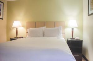 One-Bedroom Queen Room with Mobility Accessible Tub - Non-Smoking room in Candlewood Suites Houston Medical Center