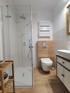 Przytulny apartament w centrum Kupiecka-Drzewna