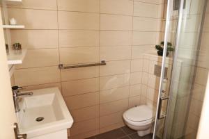 One-Bedroom Apartment with Terrace and Sea View room in Apartments by the sea Tri Zala Korcula - 558
