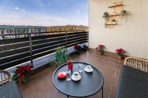 Forest corner in silver mountain of poiana brasov