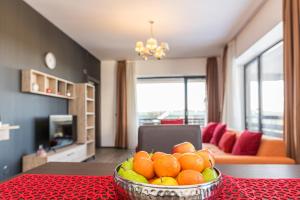 Forest corner in silver mountain of poiana brasov