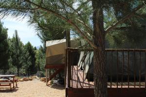Otium Oasis Glamping & Camping
