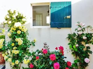 Maisons de vacances Maison de charme a Molleges avec piscine privee : photos des chambres