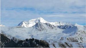 Appartements Appartement d'une chambre a La Plagne Aime 2000 a 10 m des pistes avec vue sur la ville et terrasse amenagee : photos des chambres