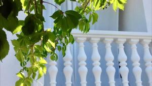 Spacious house in Lukoran with sea view