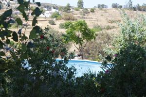 Charming House in Castro Marim with Shared Pool
