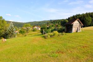 Appartements Appartement accueillant a Xonrupt-Longemer 70 m² avec jardin privatif : photos des chambres