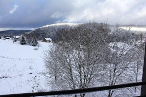 Appartements Appartement accueillant a Xonrupt-Longemer 70 m² avec jardin privatif : photos des chambres