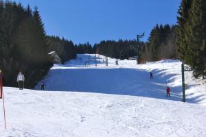 Appartements Appartement accueillant a Xonrupt-Longemer 70 m² avec jardin privatif : photos des chambres