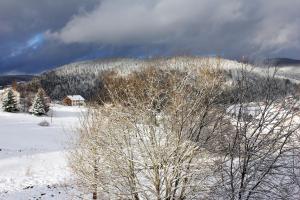Appartements Appartement accueillant a Xonrupt-Longemer 70 m² avec jardin privatif : photos des chambres