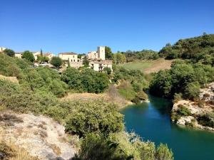 Maisons de vacances Maison d'une chambre avec piscine partagee et jardin clos a Saint Martin de Bromes : photos des chambres