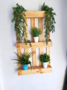 Charming apartment with mountain view in Francàs - 45m²