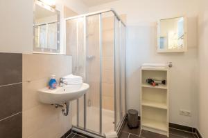 Kleiner Austernfischer