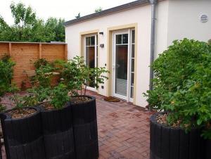 Kleiner Austernfischer