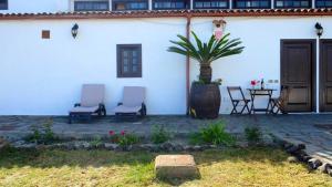 Charming apartment in Santa Cruz, 70 m² with terrace