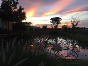 Chapulin Natural Resort