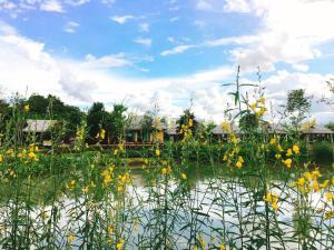 Chapulin Natural Resort