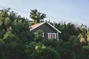 Live in the woods - Deir el Asad