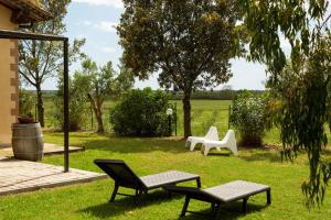 Le Pettegole del Boschetto