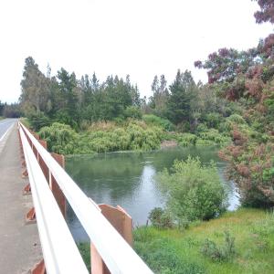 Cabañas Lelita Huenumán Bed&Breakfast