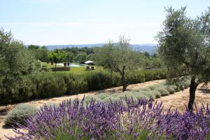 Maisons de vacances La Bastide des Amandiers : photos des chambres