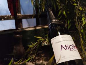 Hotels Atipik Hotel : photos des chambres