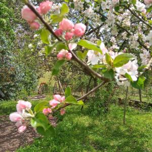 Cabañas Lelita Huenumán Bed&Breakfast