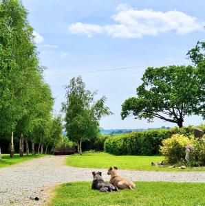 Appartements Greener Pastures - Normandy Self Catering Gites : photos des chambres