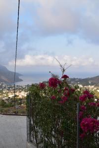 Private House Niki Kalymnos Kalymnos Greece