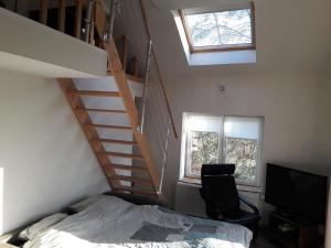 La cave au chatpitre Le Fenil