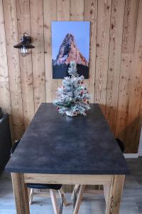 Résidence Mummery Chamonix