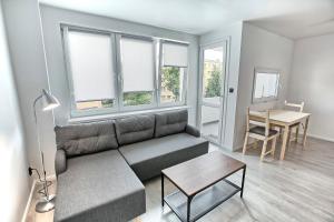 Apartament Akademia