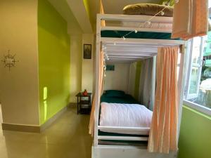 Tag Along Backpackers