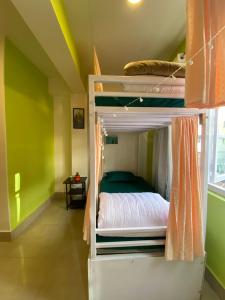 Tag Along Backpackers