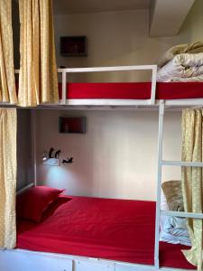 Tag Along Backpackers