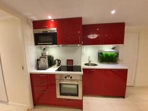Cozy apartment with garden
