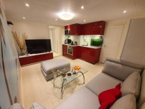 Cozy apartment with garden