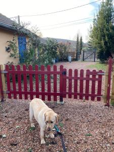 Maisons de vacances Le jardin de THELEME 