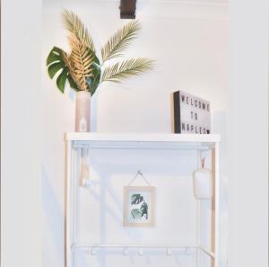 Jungle 13 - Room and Apartments