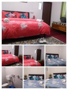 shalom inn home stay